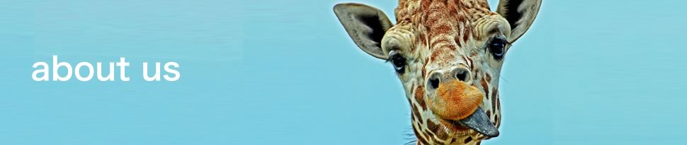 About Us | Contra, Inc.