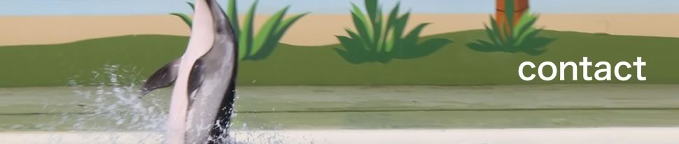 Contact | Contra, Inc.